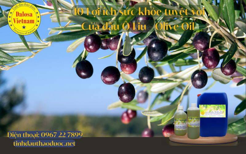 10-loi-ich-tuyet-voi-cua-dau-o-liu-olive-oil