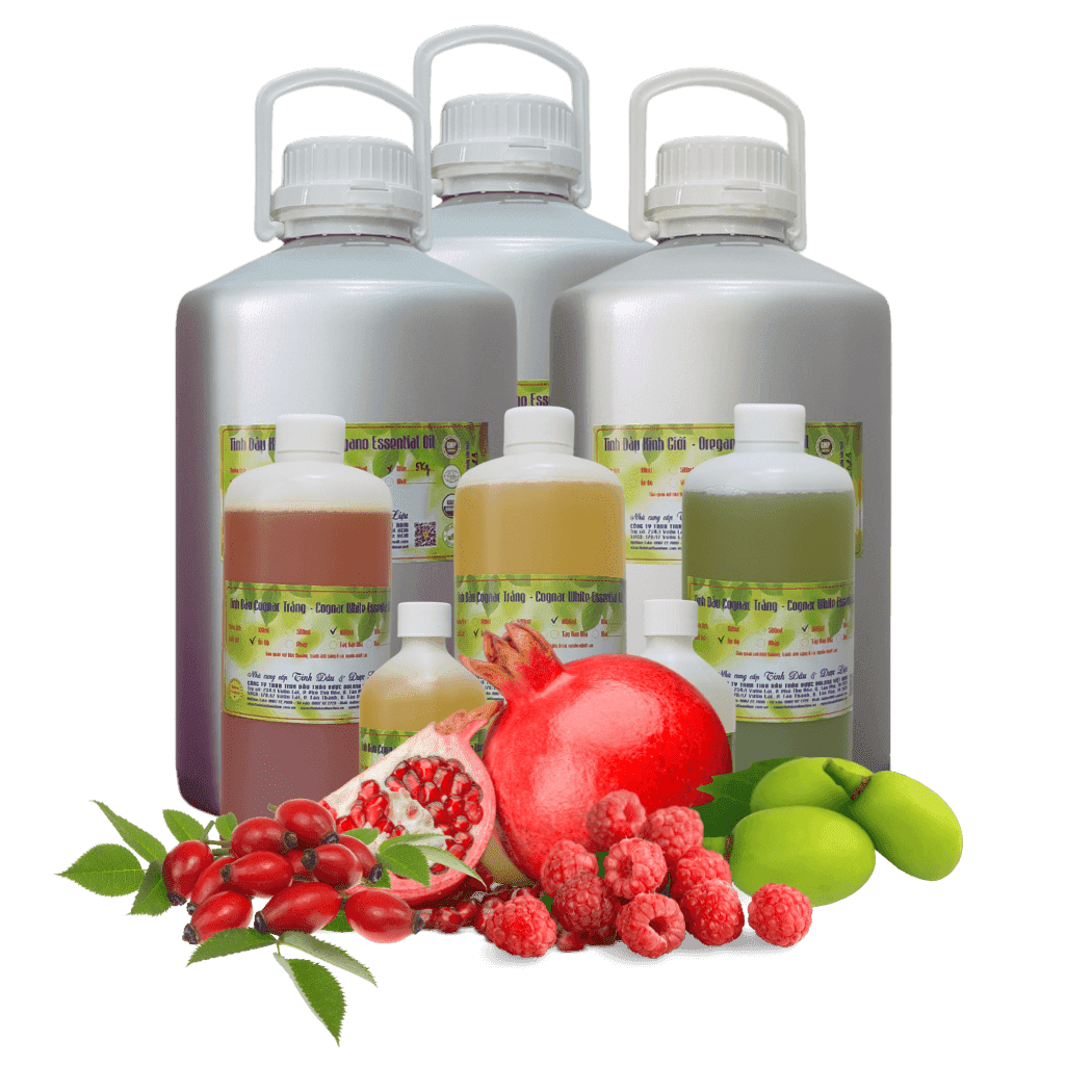 Nhóm dầu nền Dalosa Việt Nam