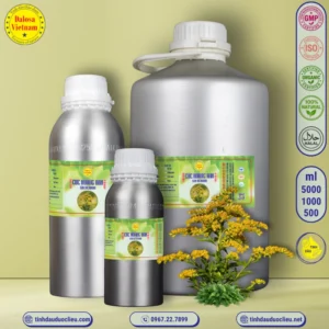 Tinh Dầu Cúc Hoàng Anh - Goldenrod Essential Oil