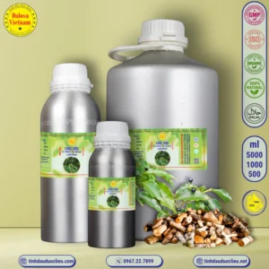 tinh dau long nao da huong ra huong camphor ho cinnamonum camphors essential oil 2 1