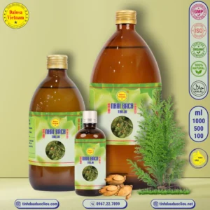 tinh dau nhai bach thuja occidentalis essential oil