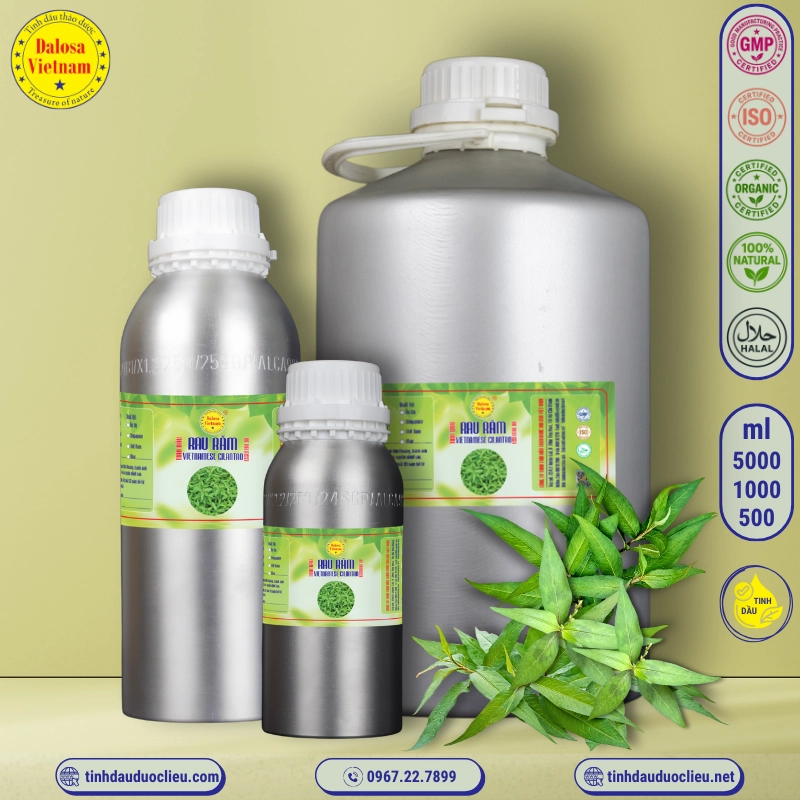 Tinh Dầu Rau Răm - Vietnamese Cilantro Essential Oil 2 tinh dau rau ram vietnamese cilantro persicaria odorata essential oil 2