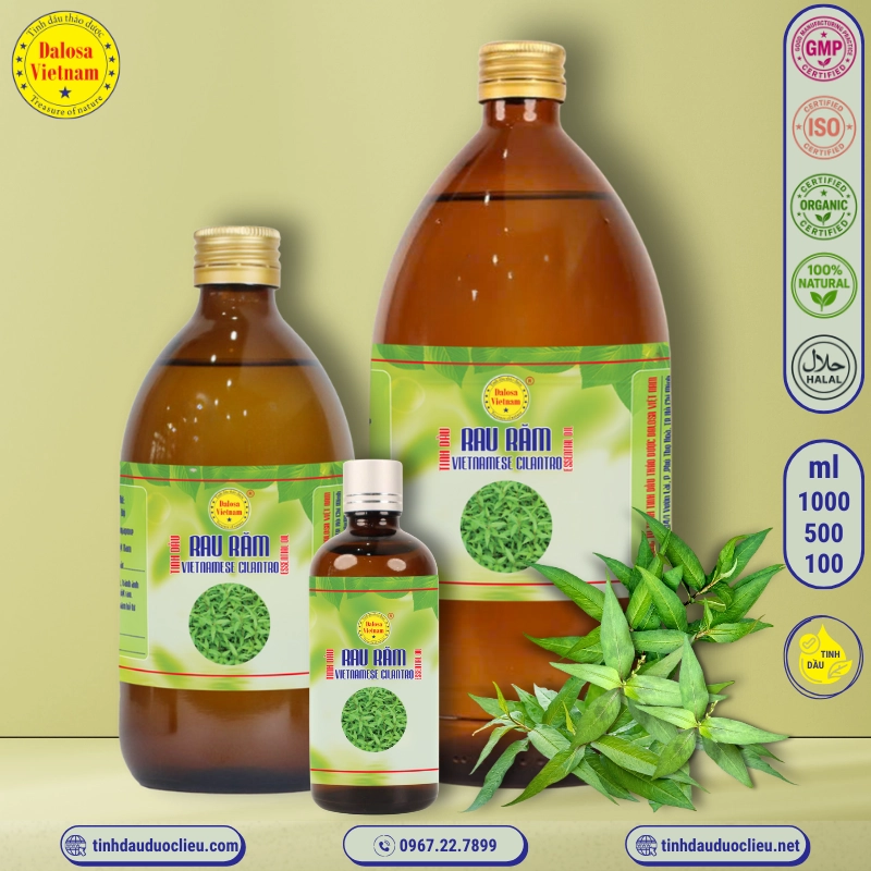 Tinh Dầu Rau Răm - Vietnamese Cilantro Essential Oil 1 tinh dau rau ram vietnamese cilantro persicaria odorata essential oil