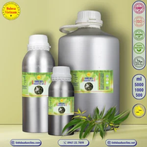 tinh dau tram 99 eucalyptus 99 cineol melaleuca cajeputi essential oil 2