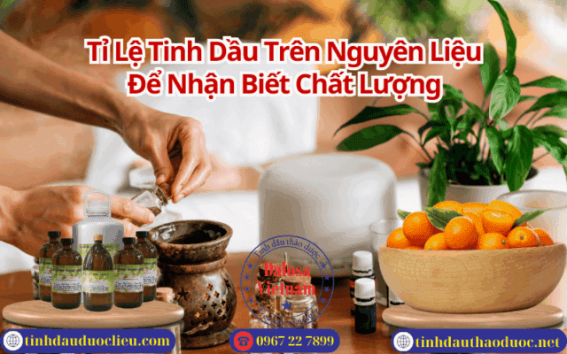 Tỉ Lệ Tinh Dầu Trên Nguyên Liệu Để Nhận Biết Chất Lượng