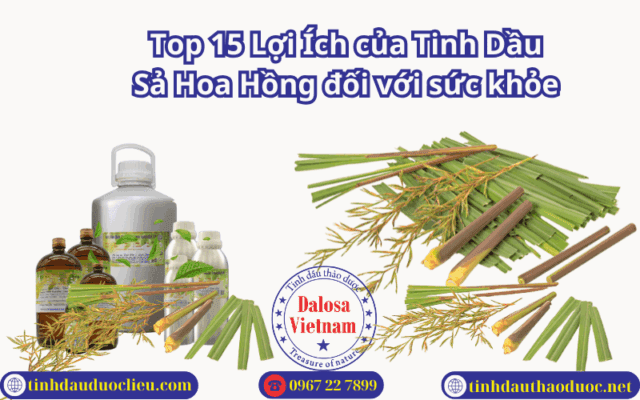 Top 15 Lợi Ích của Tinh Dầu Sả Hoa Hồng đối với sức khỏe