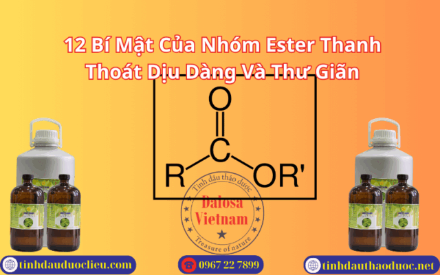 12 Bí Mật Của Nhóm Ester Thanh Thoát Dịu Dàng Và Thư Giãn