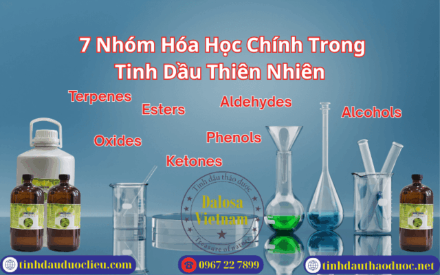 7 Nhóm Hóa Học Chính Trong Tinh Dầu Thiên Nhiên