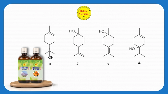 6 ly do terpenes la linh hon cua mui huong tinh dau thien nhien lg