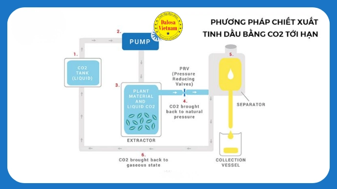 chiet xuat co2 sieu toi han cho tinh dau them tinh khiet lg