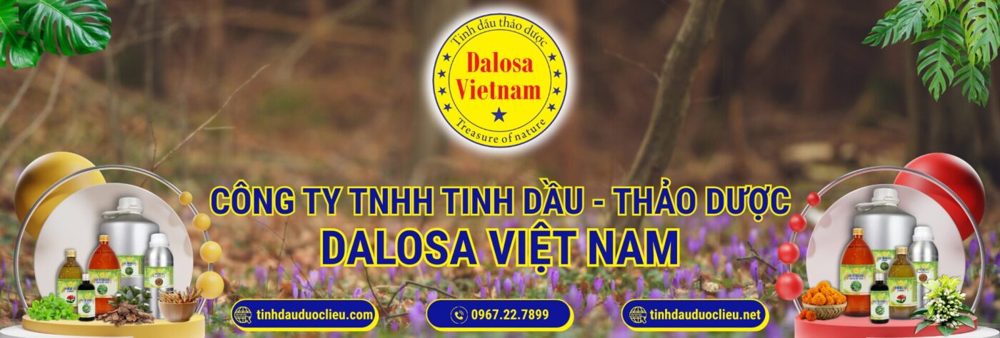 gioi thieu dalosa viet nam